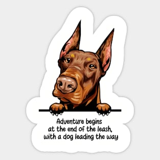 Adventure begins  at the end of the leash,  with a dog leading the way Sticker